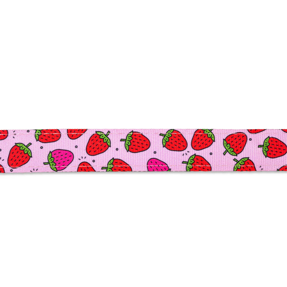 Max & Molly Multi-Function Leash Strawberry багатофункціональний повідець, принт полунична мрія - S