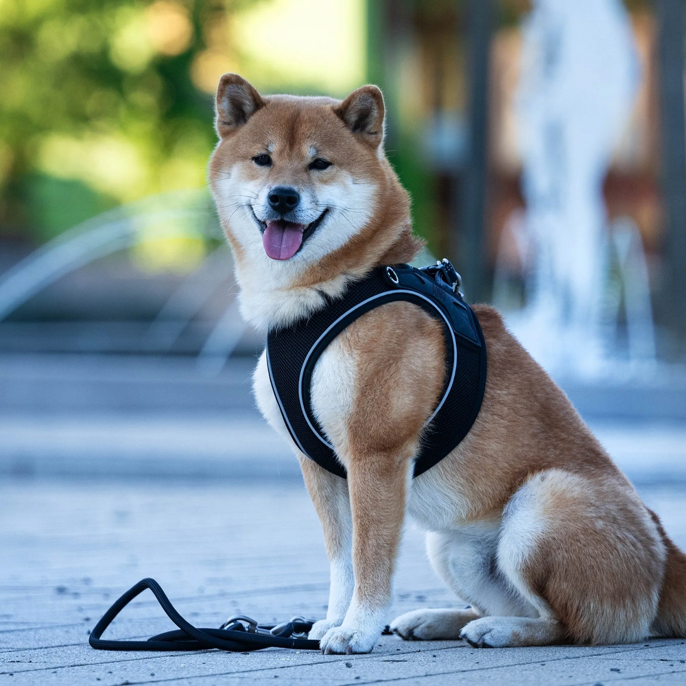 Max & Molly Air Vest Harness Matrix 2.0 Black шлея для собак, чорний - L