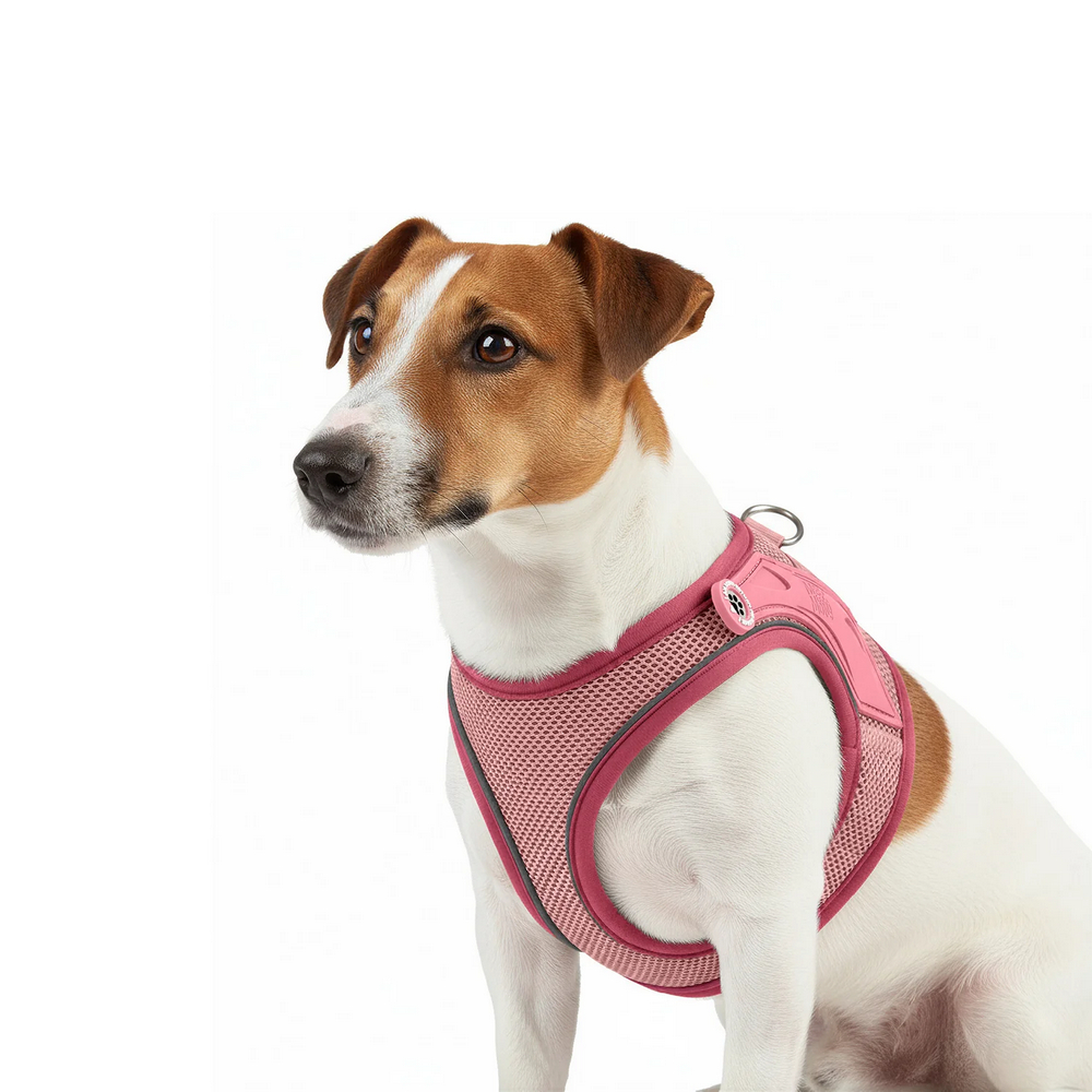 Max & Molly Air Vest Harness Matrix 2.0 Rose шлея для собак, рожевий - S