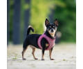 Max & Molly Air Vest Harness Matrix 2.0 Rose шлея для собак, рожевий - S