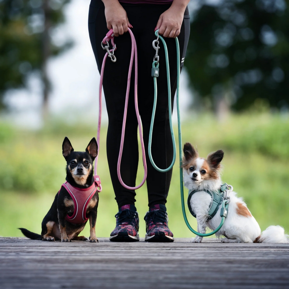 Max & Molly Air Vest Harness Matrix 2.0 Rose шлея для собак, рожевий - S