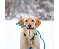 Max & Molly Smart ID Matrix Sky Blue нашийник для собак, синій - S