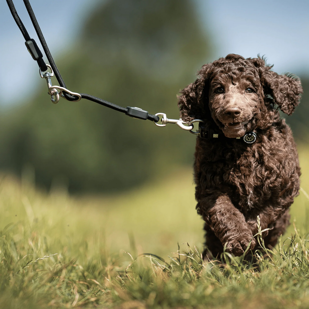 Max & Molly Rope Leash Matrix 2.0 Black мотузковий повідець, чорний - M/L