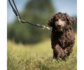 Max & Molly Rope Leash Matrix 2.0 Black мотузковий повідець, чорний - M/L