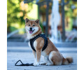 Max & Molly Rope Leash Matrix 2.0 Black мотузковий повідець, чорний - M/L