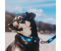 Max & Molly Smart ID Matrix Sky Blue нашийник для собак, синій - М