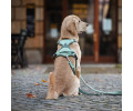 Max & Molly Smart ID Sport Harness Matrix 2.0 Jade шлея для собак, нефритовий - L
