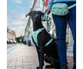 Max & Molly Smart ID Sport Harness Matrix 2.0 Jade шлея для собак, нефритовий - L