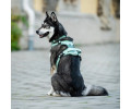 Max & Molly Smart ID Sport Harness Matrix 2.0 Jade шлея для собак, нефритовий - L