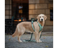 Max & Molly Smart ID Sport Harness Matrix 2.0 Jade шлея для собак, нефритовий - L