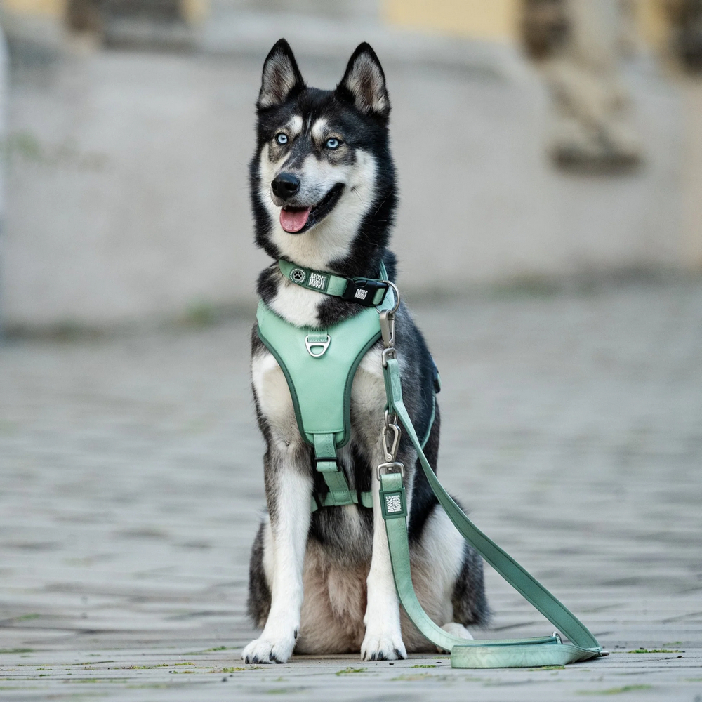 Max & Molly Smart ID Sport Harness Matrix 2.0 Jade шлея для собак, нефритовий - XL