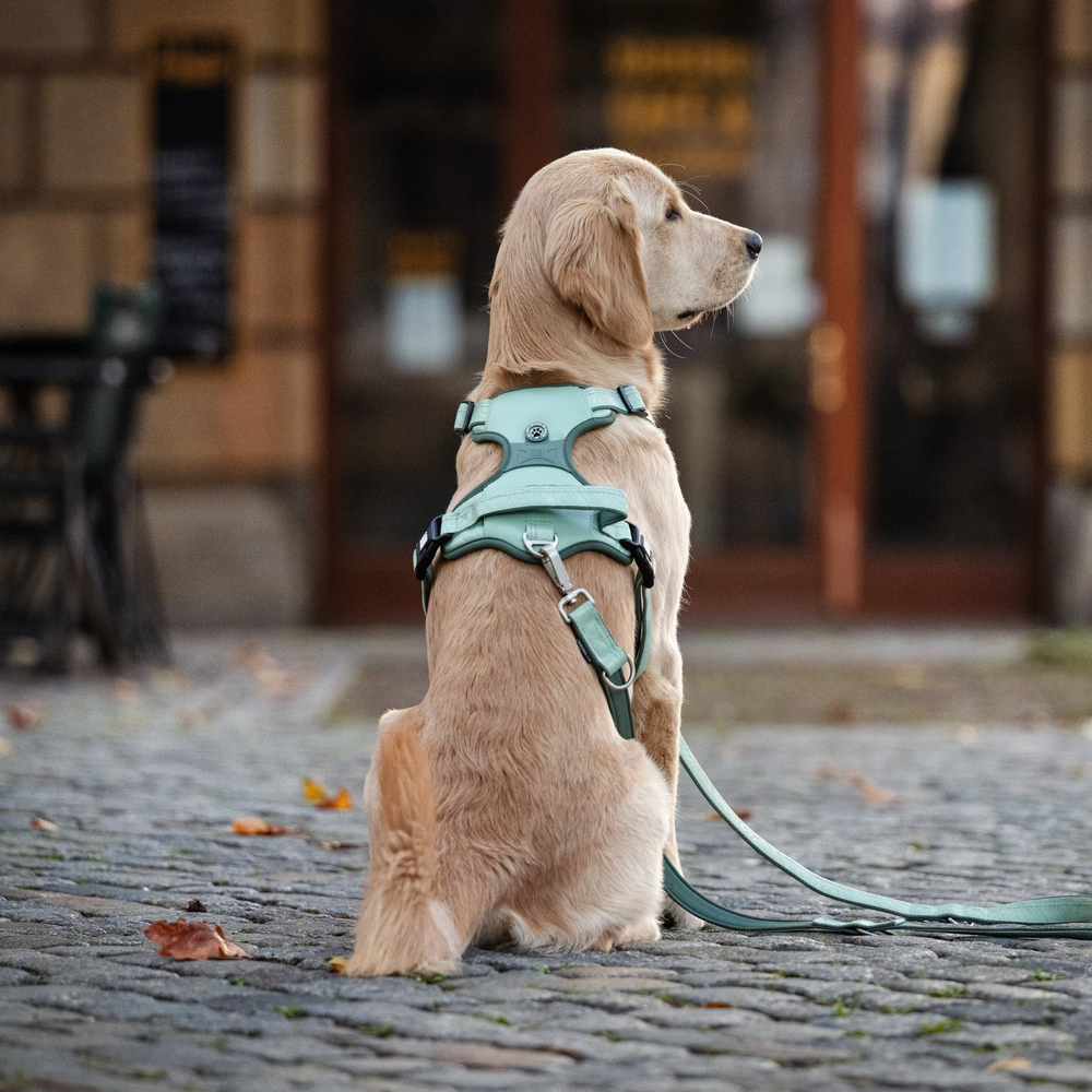 Max & Molly Smart ID Sport Harness Matrix 2.0 Jade шлея для собак, нефритовий - XL