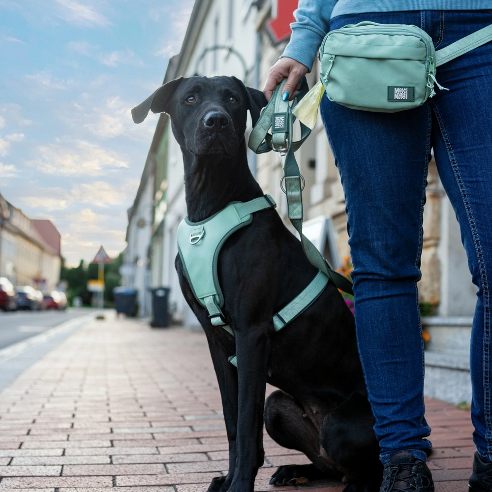 Max & Molly Smart ID Sport Harness Matrix 2.0 Jade шлея для собак, нефритовий - XL