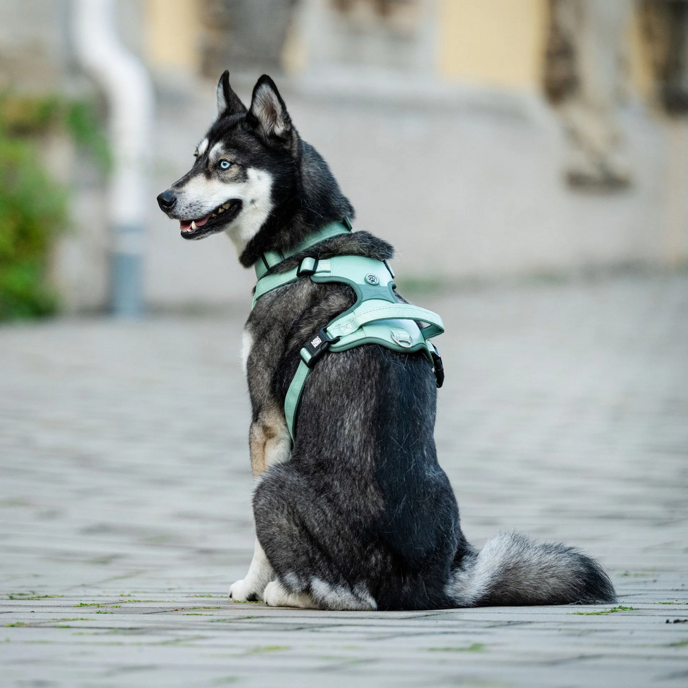 Max & Molly Smart ID Sport Harness Matrix 2.0 Jade шлея для собак, нефритовий - XL