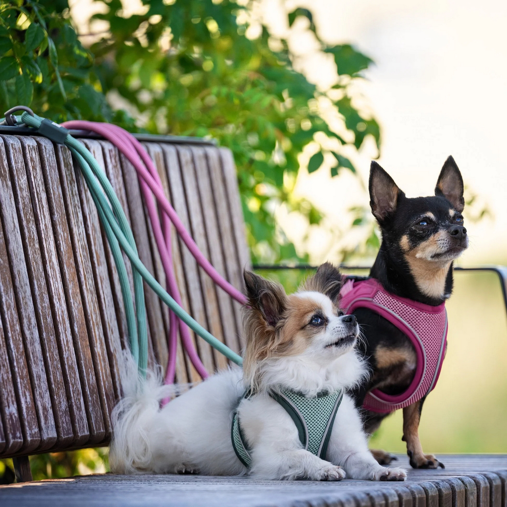 Max & Molly Air Vest Harness Matrix 2.0 Jade шлея для собак, нефритовий - XS