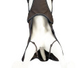Max & Molly Raincoat Matrix 2.0 Stone дощовик для собак, сірий - S