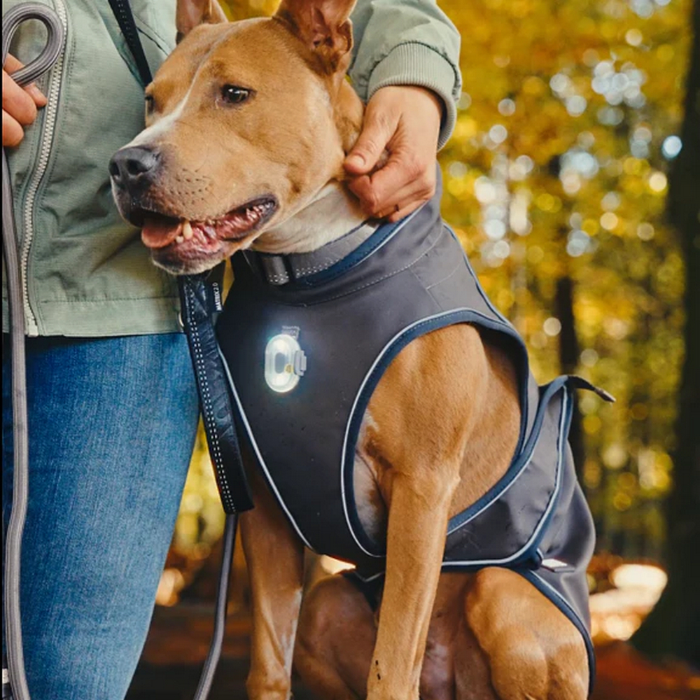 Max & Molly Raincoat Matrix 2.0 Stone дощовик для собак, сірий - L