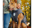 Max & Molly Raincoat Matrix 2.0 Stone дощовик для собак, сірий - L