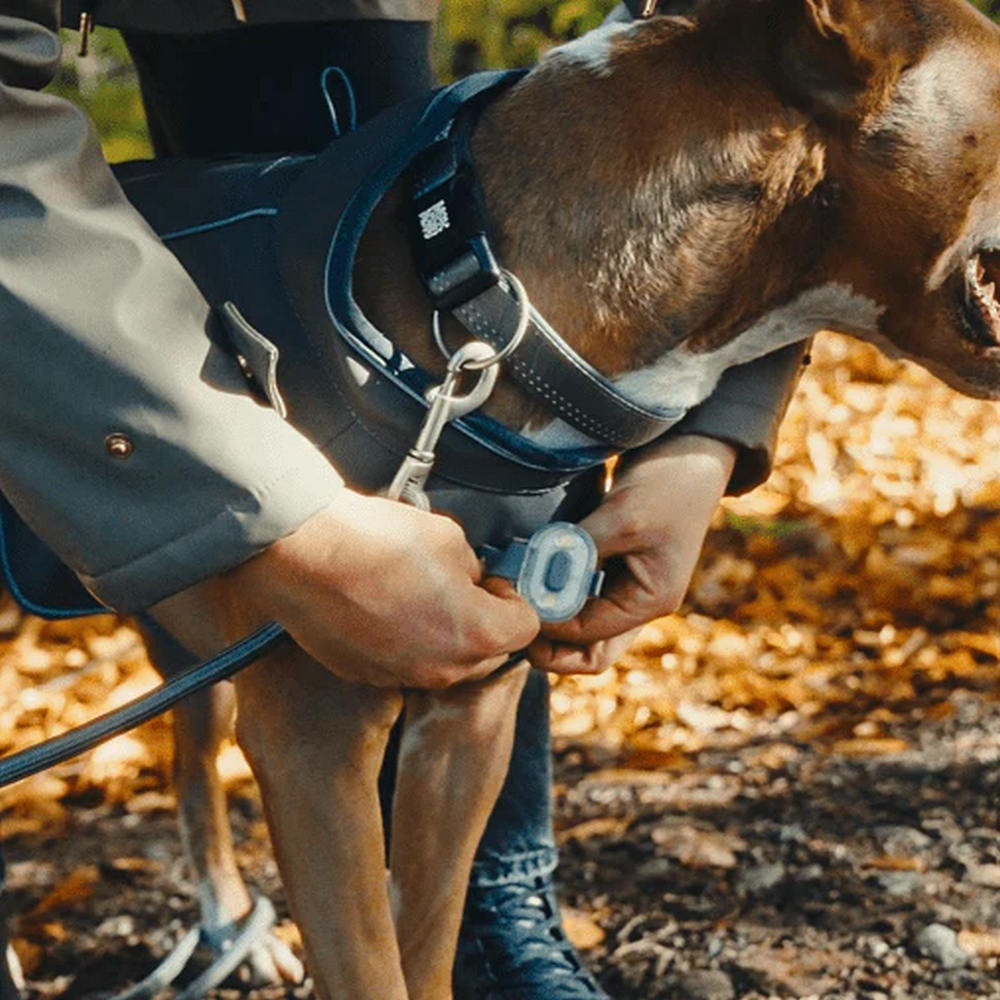 Max & Molly Raincoat Matrix 2.0 Stone дощовик для собак, сірий - XL