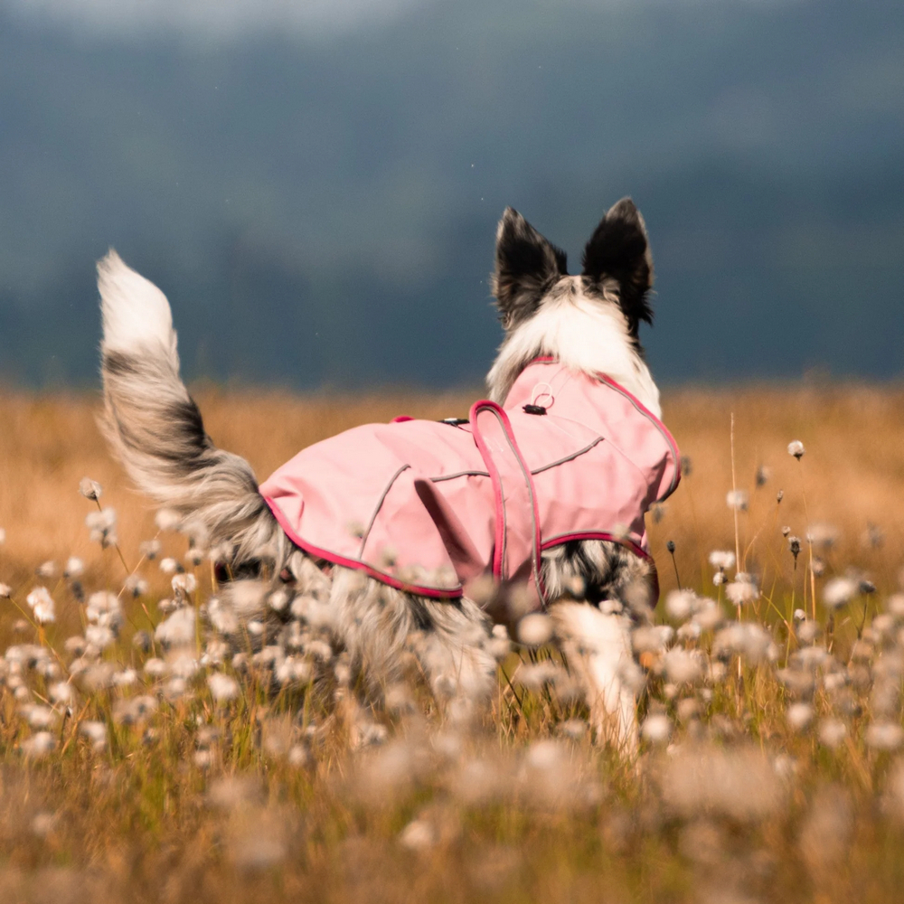 Max & Molly Raincoat Matrix 2.0 Rose дощовик для собак, рожевий -M