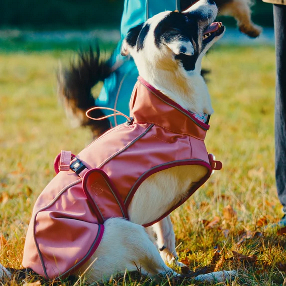 Max & Molly Raincoat Matrix 2.0 Rose дощовик для собак, рожевий - L