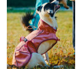 Max & Molly Raincoat Matrix 2.0 Rose дощовик для собак, рожевий - L