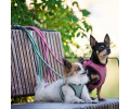 Max & Molly Air Vest Harness Matrix 2.0 Jade шлея для собак, нефритовий - L