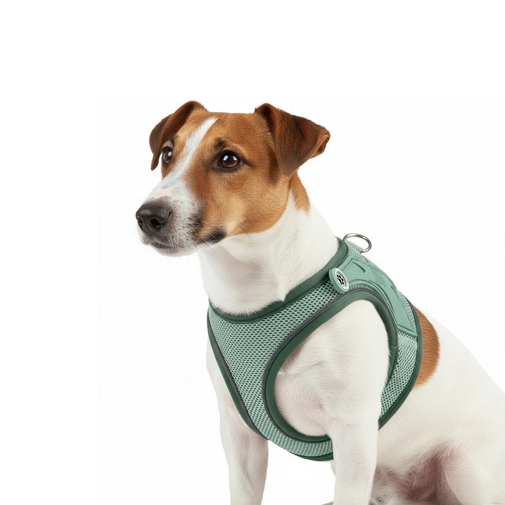 Max & Molly Air Vest Harness Matrix 2.0 Jade шлея для собак, нефритовий - L