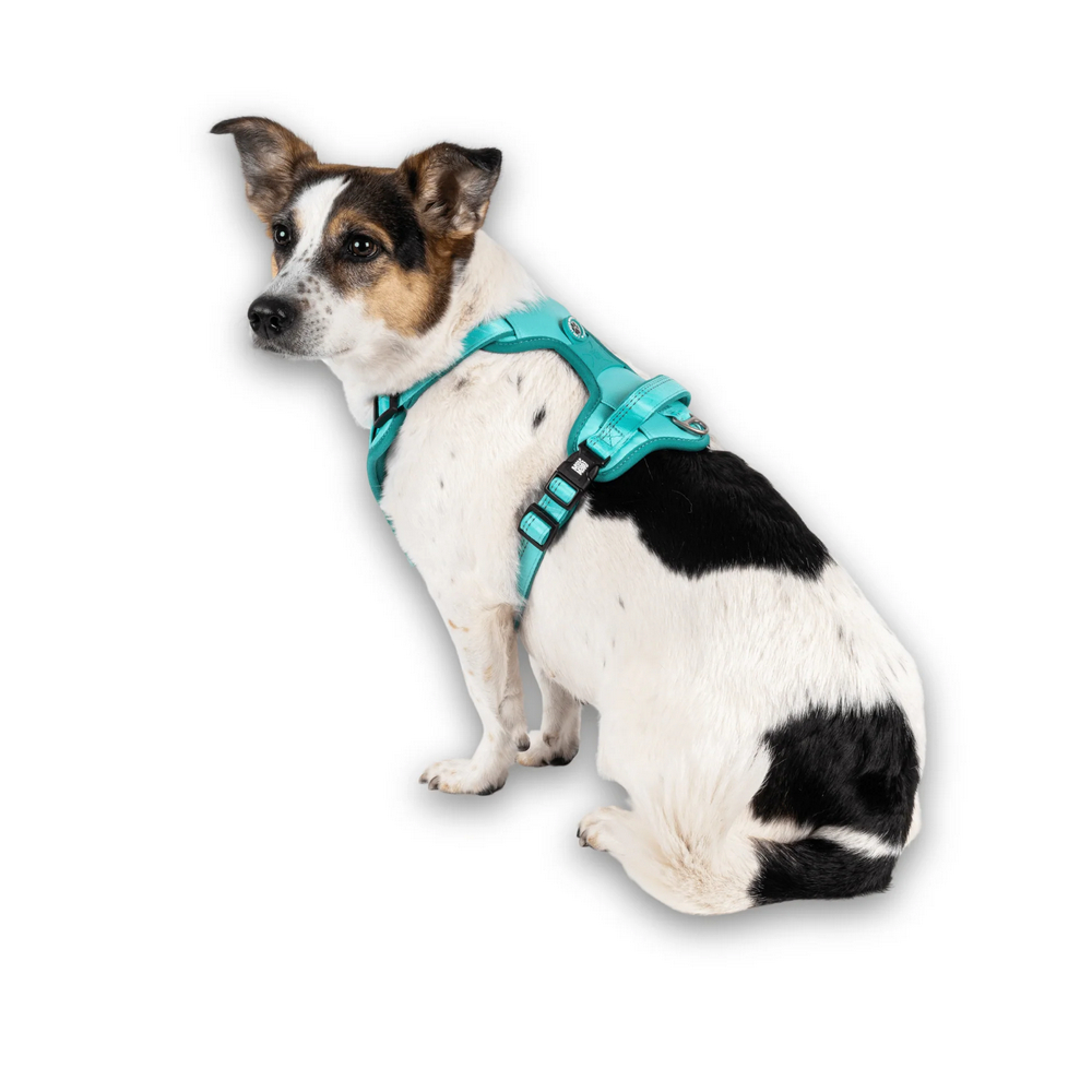 Max & Molly Smart ID Sport Harness Matrix 2.0 Turquoise шлея для собак, бірюзовий - S
