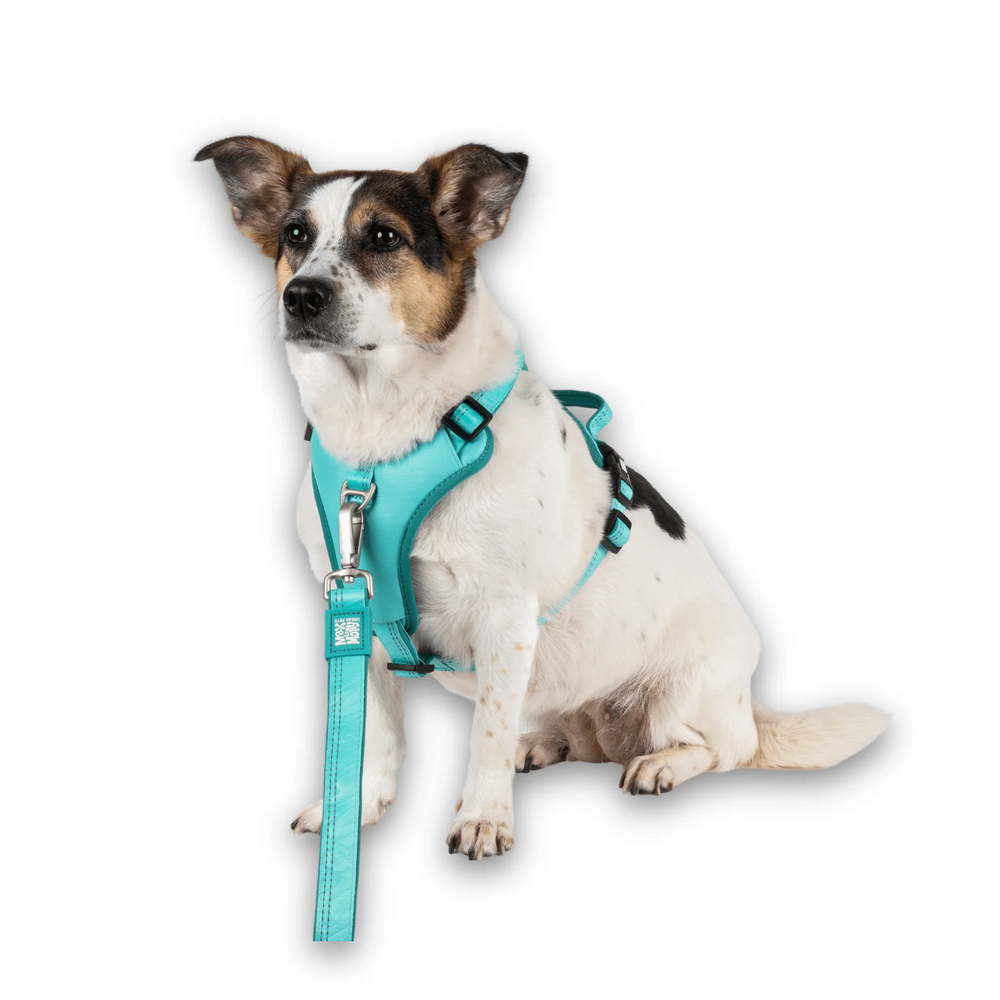 Max & Molly Smart ID Sport Harness Matrix 2.0 Turquoise шлея для собак, бірюзовий - S