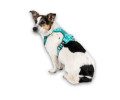Max & Molly Smart ID Sport Harness Matrix 2.0 Turquoise шлея для собак, бірюзовий - L