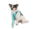 Max & Molly Smart ID Sport Harness Matrix 2.0 Turquoise шлея для собак, бірюзовий - L