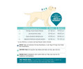 Max & Molly Smart ID Sport Harness Matrix 2.0 Turquoise шлея для собак, бірюзовий - L