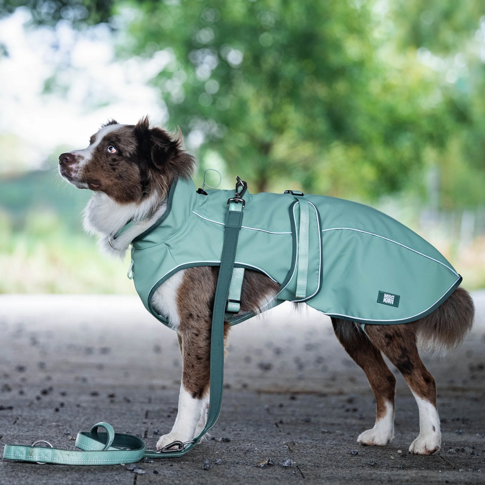 Max & Molly Raincoat Matrix 2.0 Jade дощовик для собак, нефритовий - M