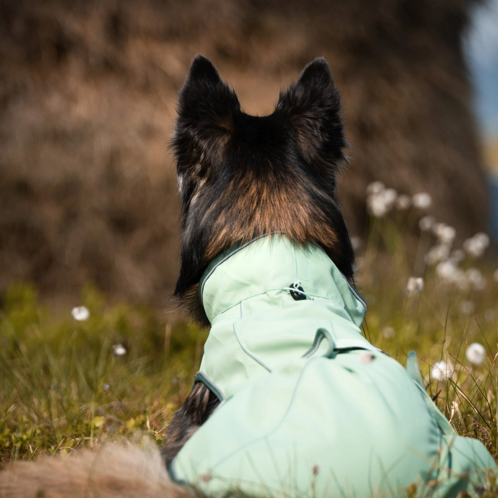 Max & Molly Raincoat Matrix 2.0 Jade дощовик для собак, нефритовий - L