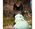 Max & Molly Raincoat Matrix 2.0 Jade дощовик для собак, нефритовий - L