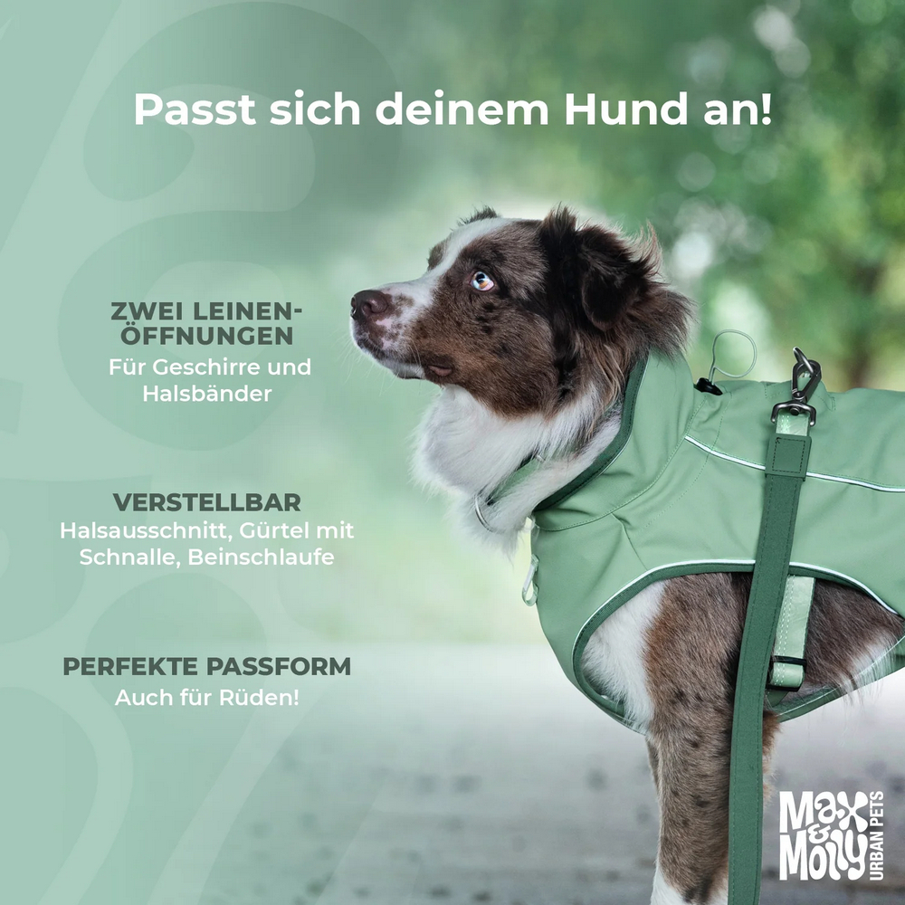 Max & Molly Raincoat Matrix 2.0 Jade дощовик для собак, нефритовий - L
