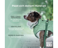 Max & Molly Raincoat Matrix 2.0 Jade дощовик для собак, нефритовий - L