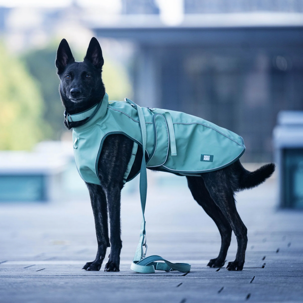 Max & Molly Raincoat Matrix 2.0 Jade дощовик для собак, нефритовий - L
