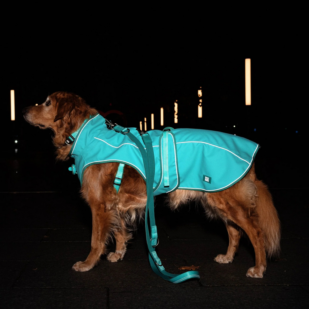 Max & Molly Raincoat Matrix 2.0 Turquoise  дощовик для собак, бірюзовий - XXS