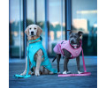 Max & Molly Raincoat Matrix 2.0 Turquoise  дощовик для собак, бірюзовий - XXS