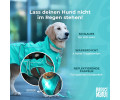 Max & Molly Raincoat Matrix 2.0 Turquoise  дощовик для собак, бірюзовий - XXS