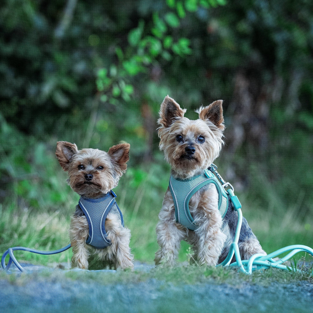 Max & Molly Rope Leash Matrix 2.0 Turquoise мотузковий повідець, бірюзовий - M/L