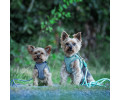 Max & Molly Rope Leash Matrix 2.0 Turquoise мотузковий повідець, бірюзовий - M/L