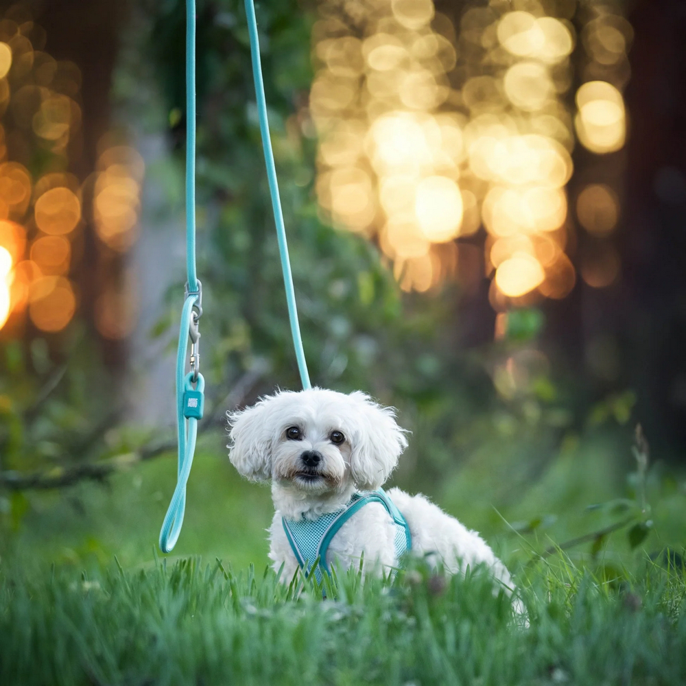 Max & Molly Rope Leash Matrix 2.0 Turquoise мотузковий повідець, бірюзовий - M/L
