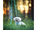 Max & Molly Rope Leash Matrix 2.0 Turquoise мотузковий повідець, бірюзовий - M/L