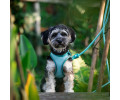 Max & Molly Air Vest Harness Matrix 2.0 Turquoise шлея для собак, бірюзовий - XS