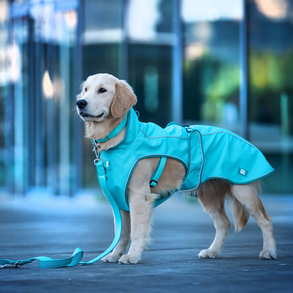 Max & Molly Raincoat Matrix 2.0 Turquoise  дощовик для собак, бірюзовий - XL