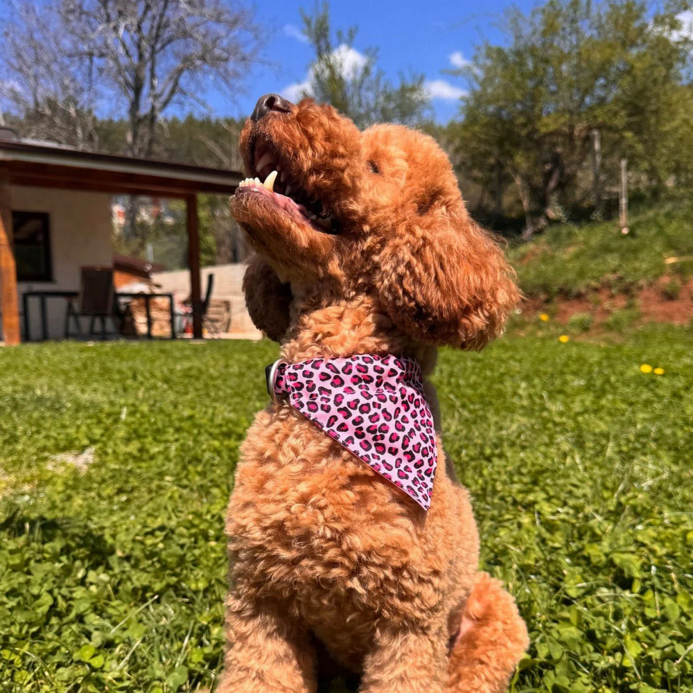 Max & Molly Bandana Leopard Pink бандана на нашийник собаки, принт леопард - XS/S