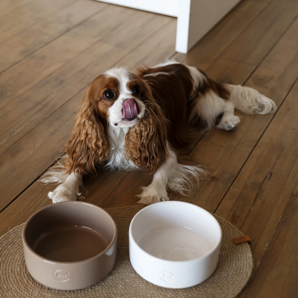 Harley & Cho Ceramic Bowl Cacao миска керамічна для собак і котів, бежевий - 450 мл